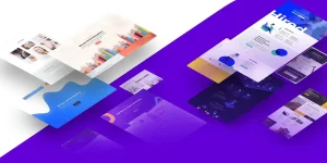 Divi Theme